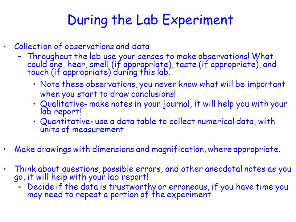 How to write a lab report biology references