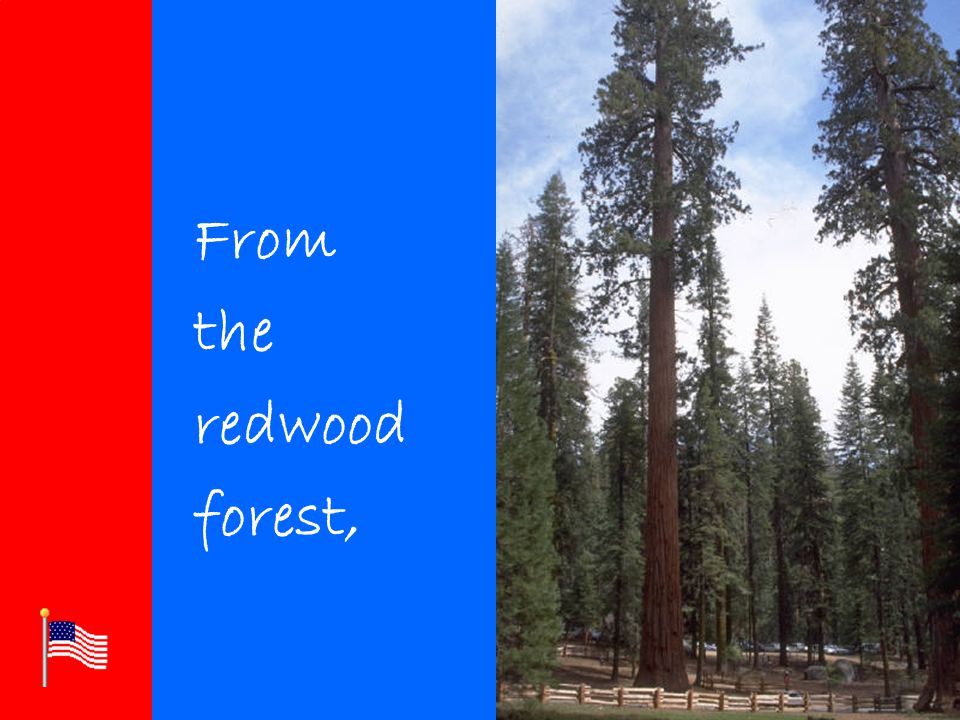 Click to edit Master title style Click to edit Master text styles –Second level Third level –Fourth level »Fifth level From the redwood forest,