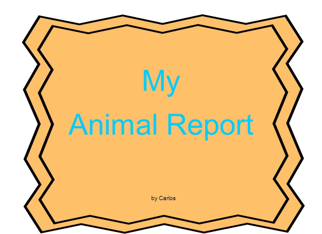 My Animal Report by Carlos