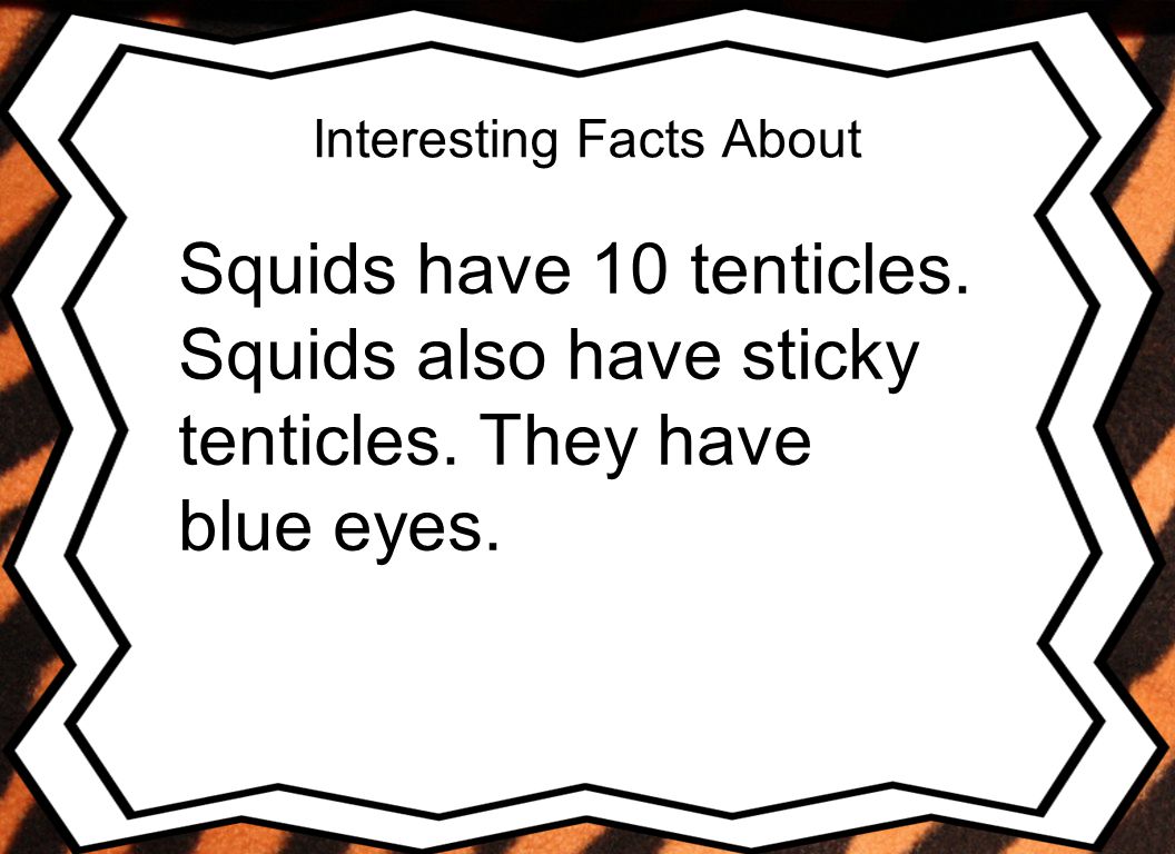 Interesting Facts About Squids have 10 tenticles. Squids also have sticky tenticles.