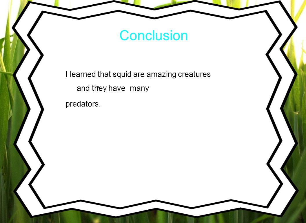 Conclusion I learned that squid are amazing creatures and they have many predators..