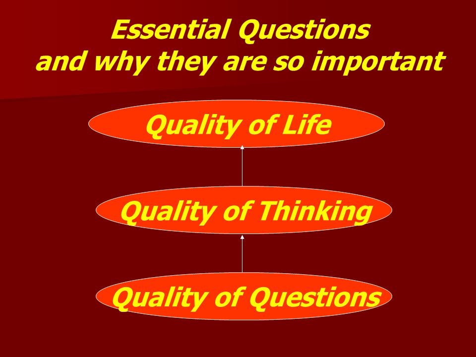 Philosophy Questions - Philosophy HKU