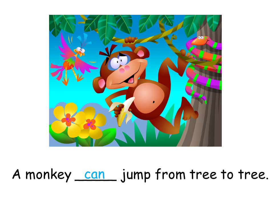 A monkey _____ jump from tree to tree. can