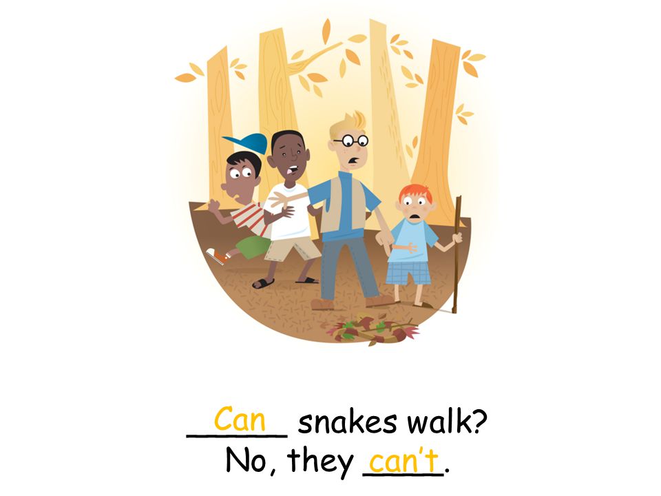_____ snakes walk No, they ____. Can can’t