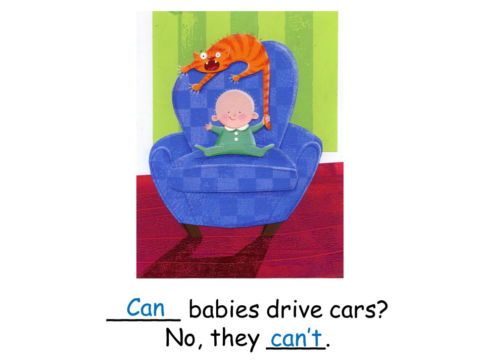 _____ babies drive cars No, they ____. Can can’t