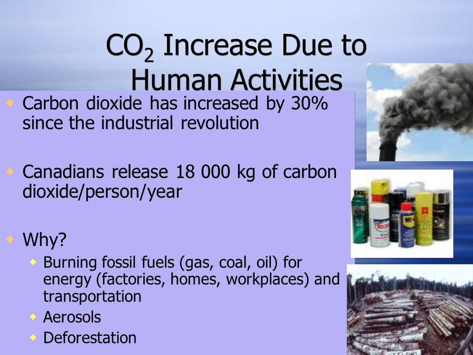 CO 2 Increase Due to Human Activities  Carbon dioxide has increased by 30% since the industrial revolution  Canadians release kg of carbon dioxide/person/year  Why.