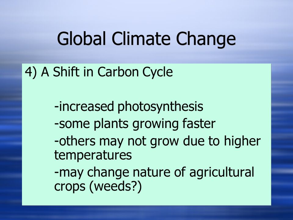 Global Climate Change 4) A Shift in Carbon Cycle -increased photosynthesis -some plants growing faster -others may not grow due to higher temperatures -may change nature of agricultural crops (weeds ) 4) A Shift in Carbon Cycle -increased photosynthesis -some plants growing faster -others may not grow due to higher temperatures -may change nature of agricultural crops (weeds )