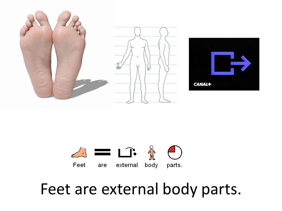 Feet are external body parts.