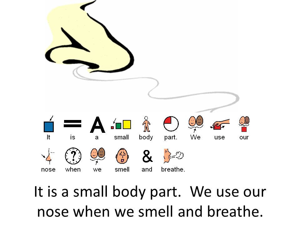 It is a small body part. We use our nose when we smell and breathe.