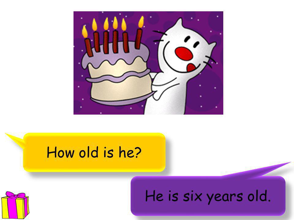 How old is he He is eight years old.
