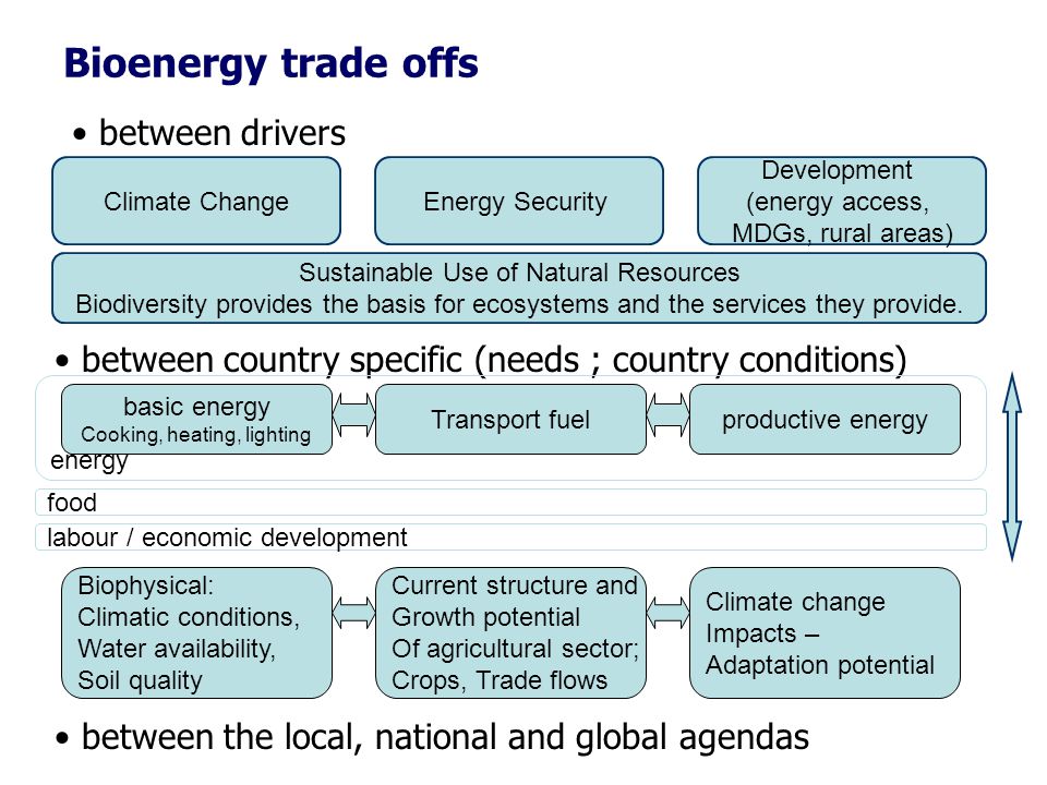 Bioenergy trade offs Energy Security Development (energy access, MDGs, rural areas) Climate Change Sustainable Use of Natural Resources Biodiversity provides the basis for ecosystems and the services they provide.