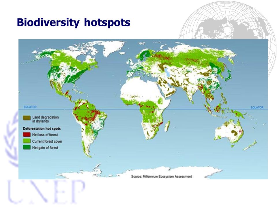 Biodiversity hotspots