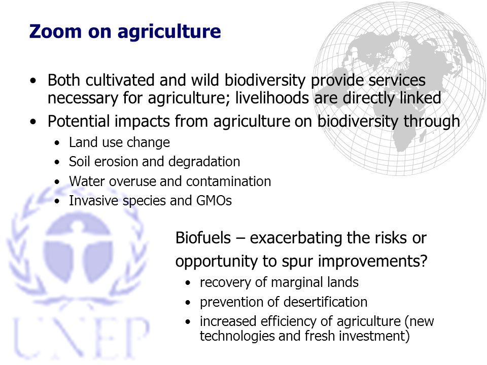 Zoom on agriculture Both cultivated and wild biodiversity provide services necessary for agriculture; livelihoods are directly linked Potential impacts from agriculture on biodiversity through Land use change Soil erosion and degradation Water overuse and contamination Invasive species and GMOs Biofuels – exacerbating the risks or opportunity to spur improvements.