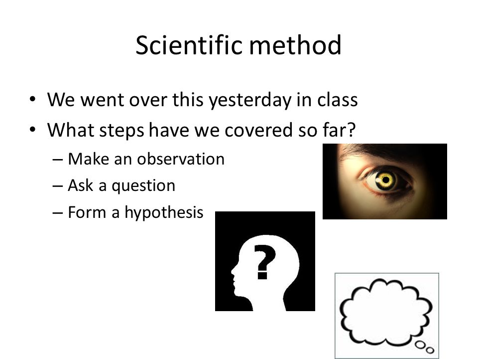 Forming A Hypothesis