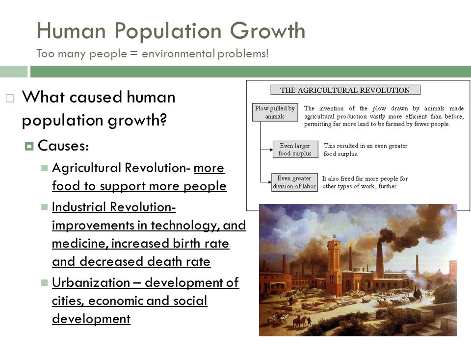 english essay population a human source Overpopulation is a serious problem that will eventually have overpopulation essay by “a population eventually becomes to big for its resource. english essay population a human source Overpopulation is a serious problem that will eventually have overpopulation essay by “a population eventually becomes to big for its resource.