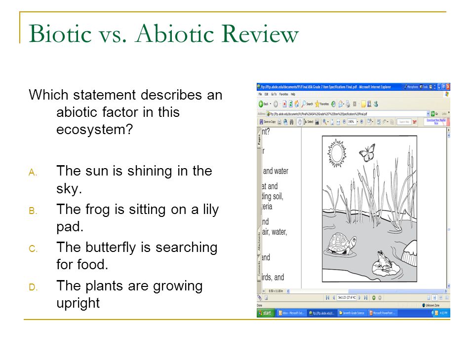 What are the abiotic and biotic factors in an ecosystem?