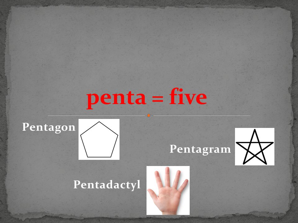 Pentagon Pentagram Pentadactyl penta = five
