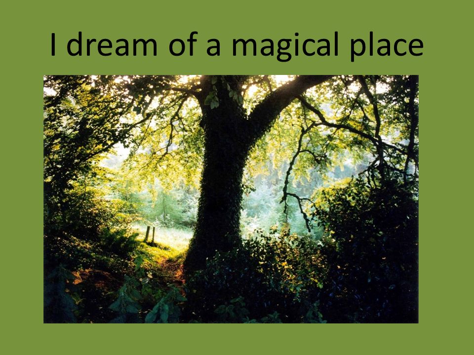 I dream of a magical place