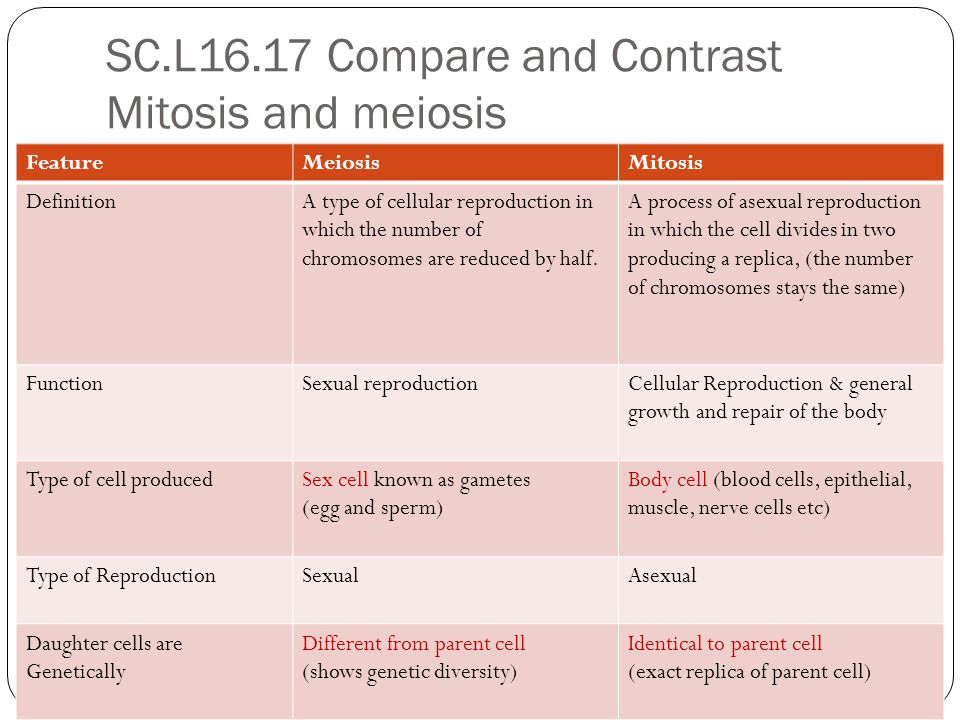 Worksheets Comparing Mitosis And Meiosis sc 912 l compare and contrast mitosis meiosis relate to l16 17 featuremeiosismitosis definitiona type of cellular