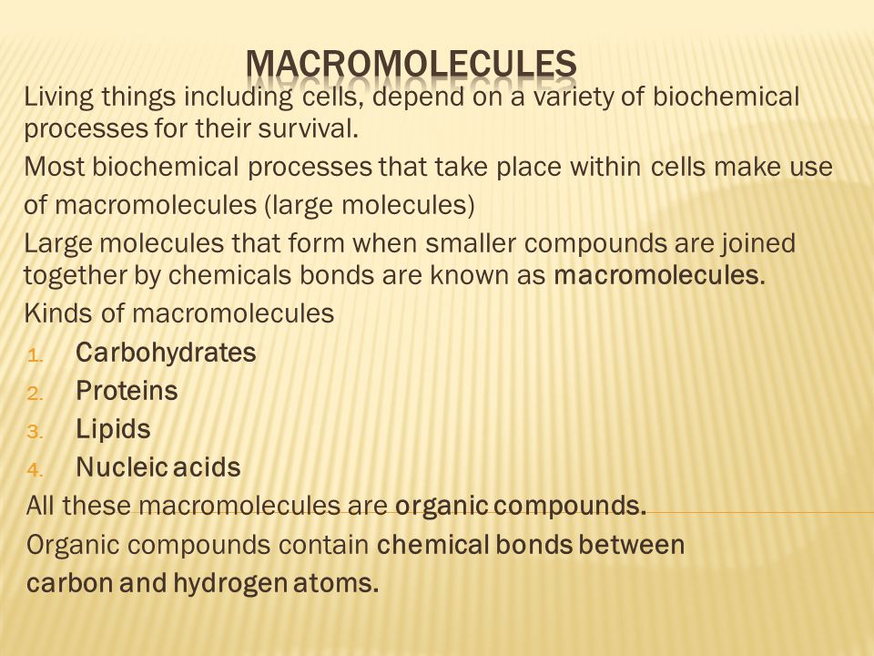Image result for macromolecules