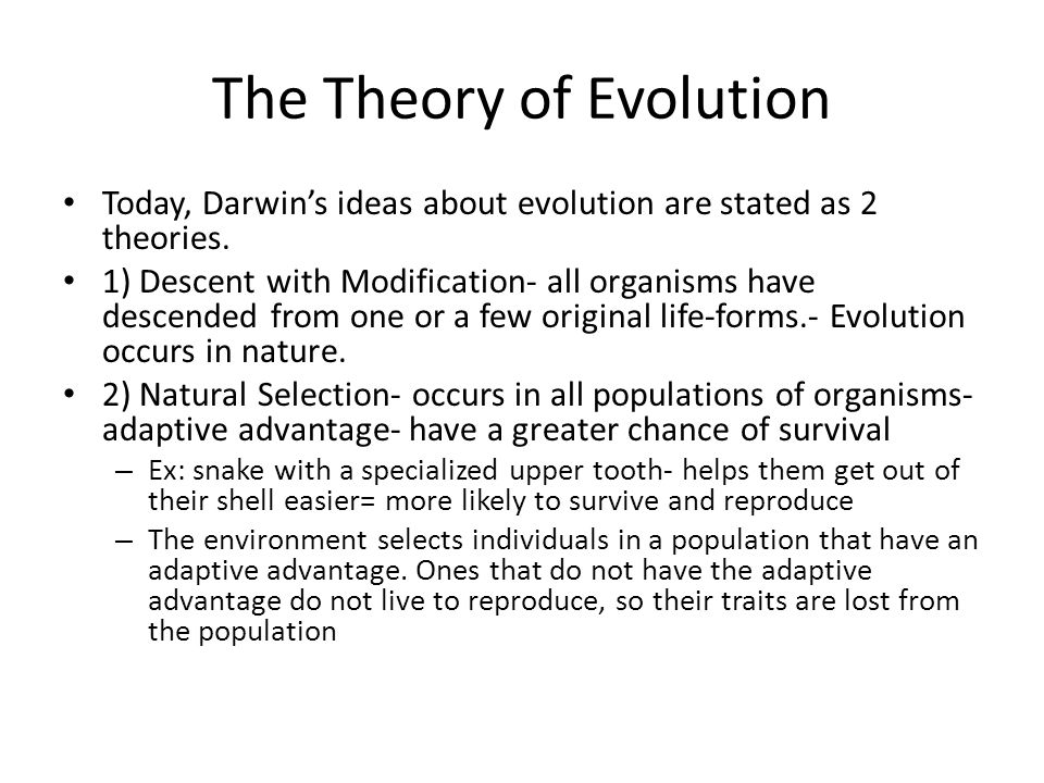 Check Printing And Writing Software Theory Of Evolution Essay Help On Epigenetics We Need Both Darwin S And Lamarck S Theories Eventrsvp From Thesis To Essay Writing also Thesis Statements For Essays Sample Of English Essay