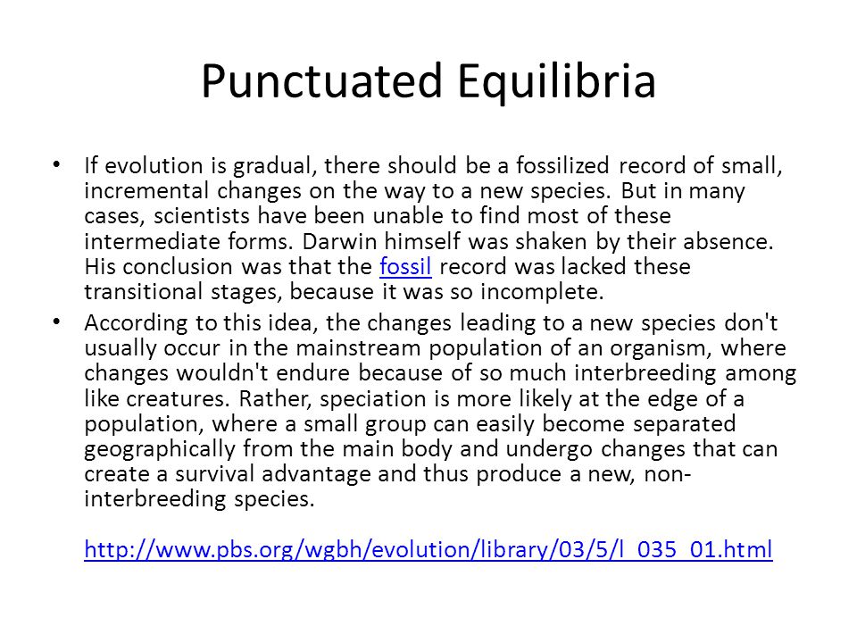 human evolution and the fossil record essay human evolution and the fossil record essay