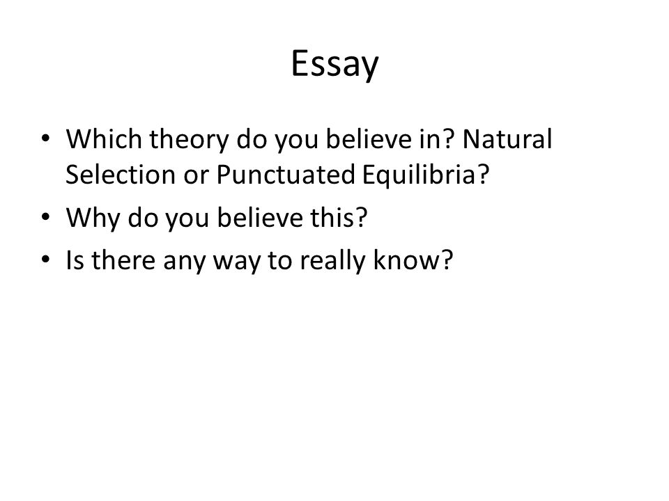 Living A Healthy Lifestyle Essay Perfect Day In Cancun Yucatan Holidays Photoroulette Tk Essay A Perfect Day In My Life Picture Essay On Good Health also High School Senior Essay Floridaresume Servicefl Resume Writersresume Experts Essay On A Persuasive Essay Samples For High School