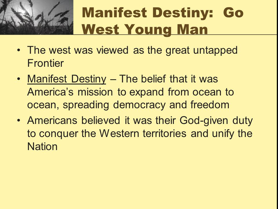 Essay About Destiny
