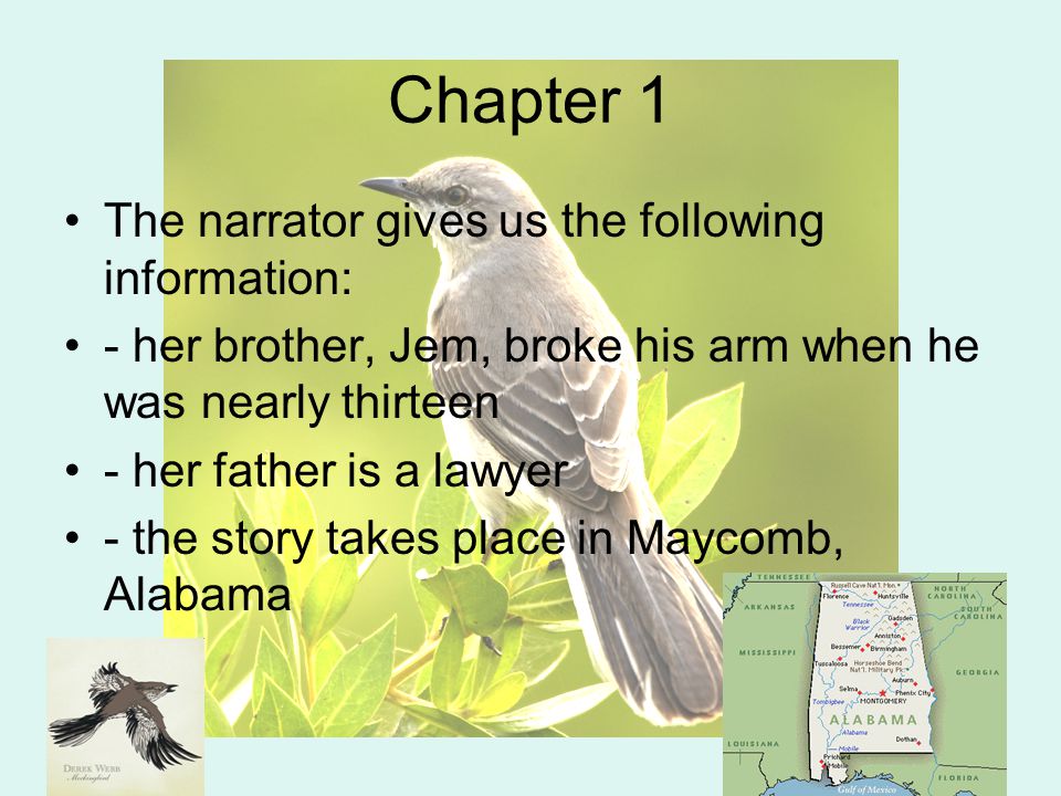 Chapter 1 The narrator gives us the following information: - her brother, Jem, broke his arm when he was nearly thirteen - her father is a lawyer - the story takes place in Maycomb, Alabama