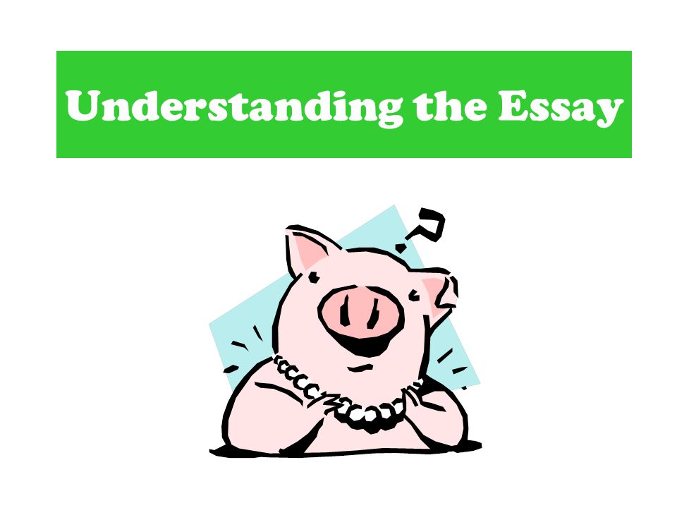 essay about lady macbeth.jpg