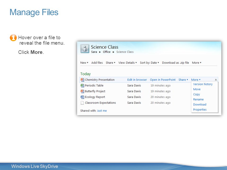 17 Windows Live SkyDrive Hover over a file to reveal the file menu. Click More.