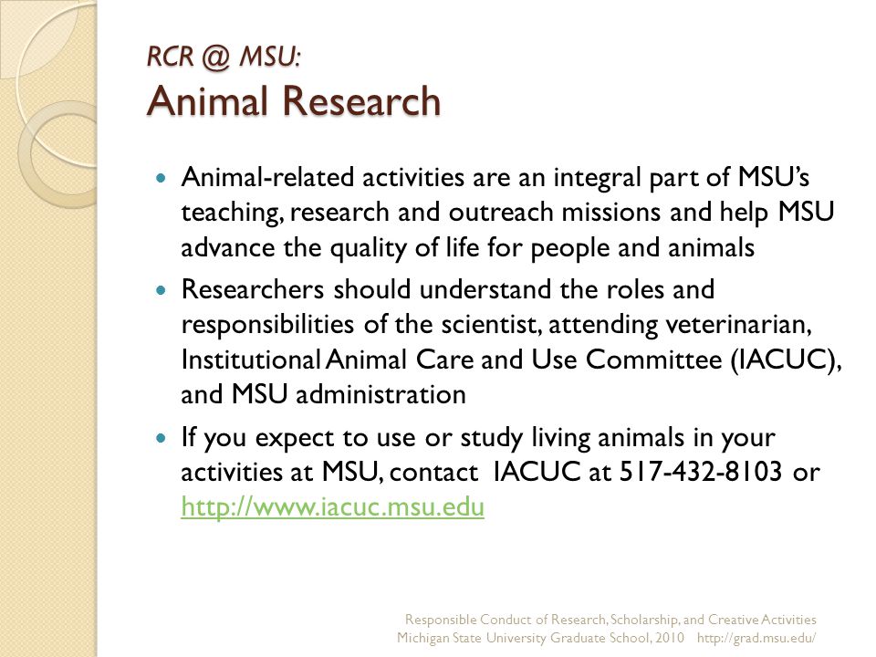 MSU: Animal Research Animal-related activities are an integral part of MSU’s teaching, research and outreach missions and help MSU advance the quality of life for people and animals Researchers should understand the roles and responsibilities of the scientist, attending veterinarian, Institutional Animal Care and Use Committee (IACUC), and MSU administration If you expect to use or study living animals in your activities at MSU, contact IACUC at or     Responsible Conduct of Research, Scholarship, and Creative Activities Michigan State University Graduate School,