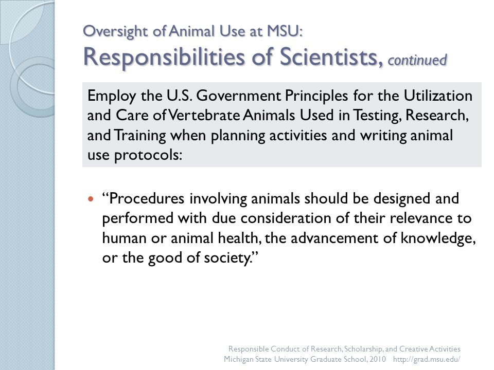 animals used for experimentation argumentative essay animals used for experimentation argumentative essay
