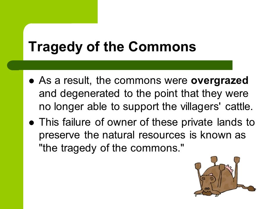 Tragedy of the commons original essay