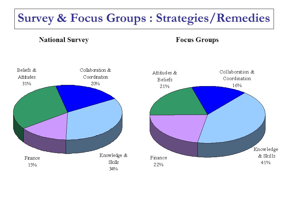 Survey & Focus Groups : Strategies/Remedies Focus GroupsNational Survey