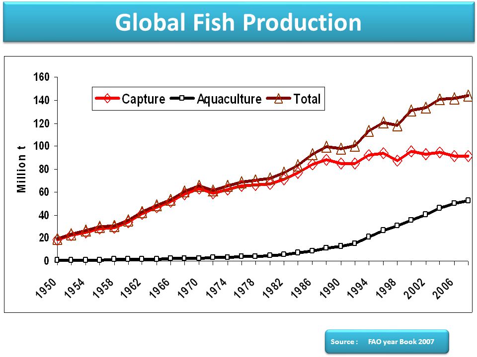 Global Fish Production Source : FAO year Book 2007