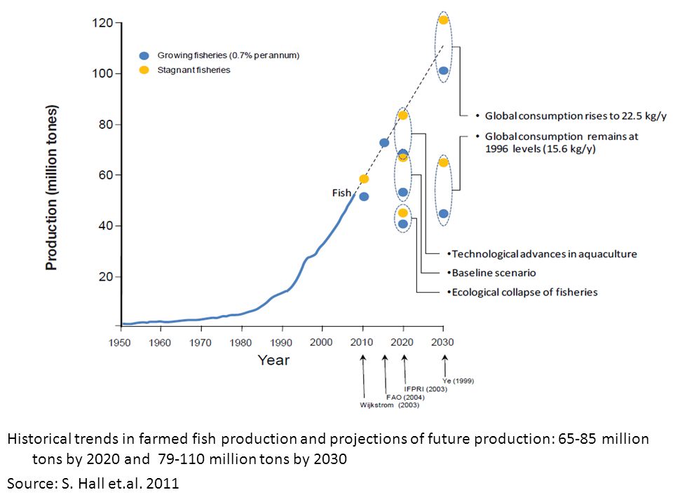 Historical trends in farmed fish production and projections of future production: million tons by 2020 and million tons by 2030 Source: S.