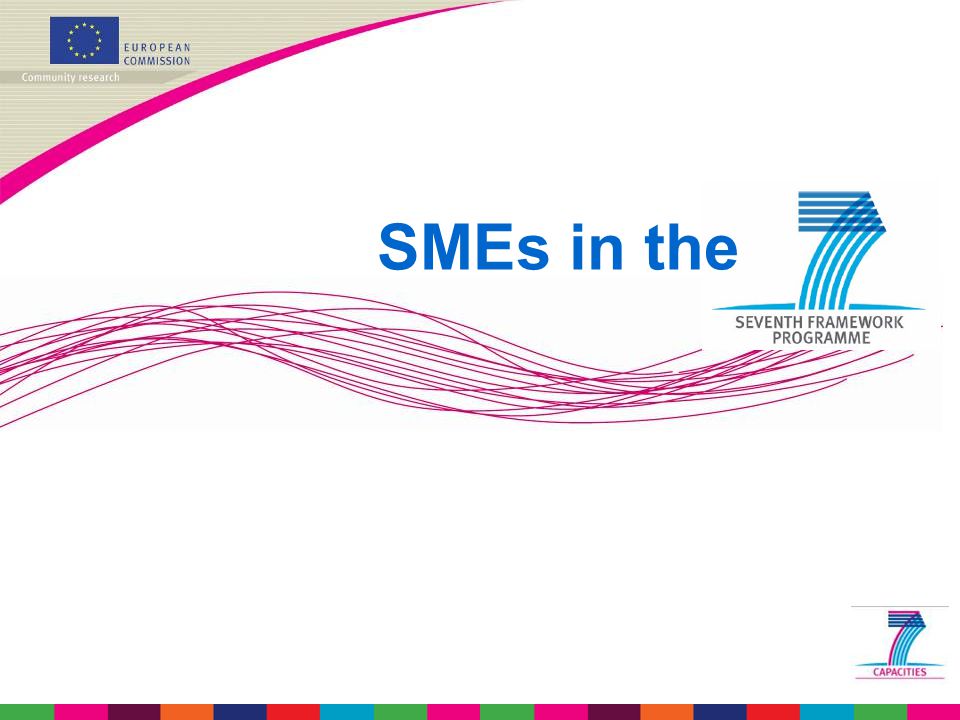 SMEs in the