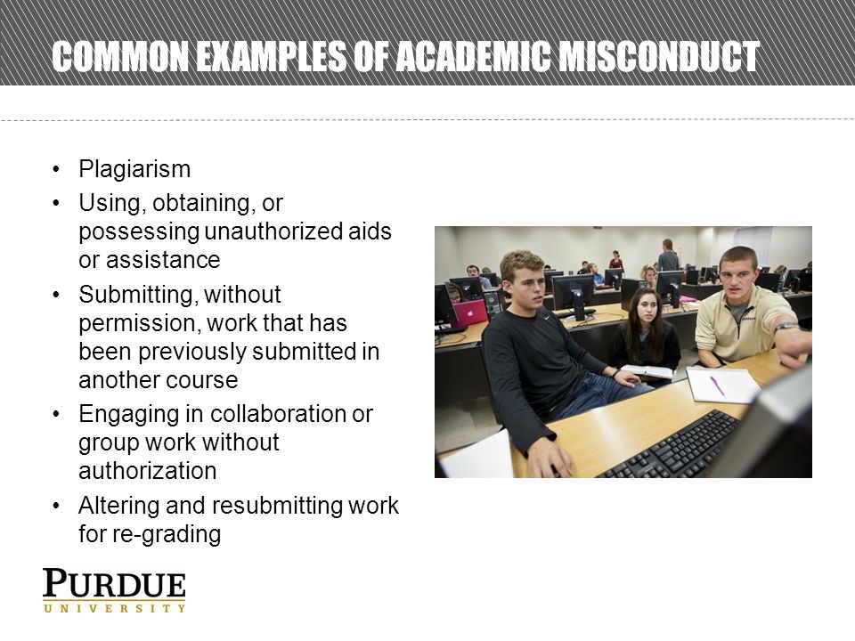 Academic Honesty Essay
