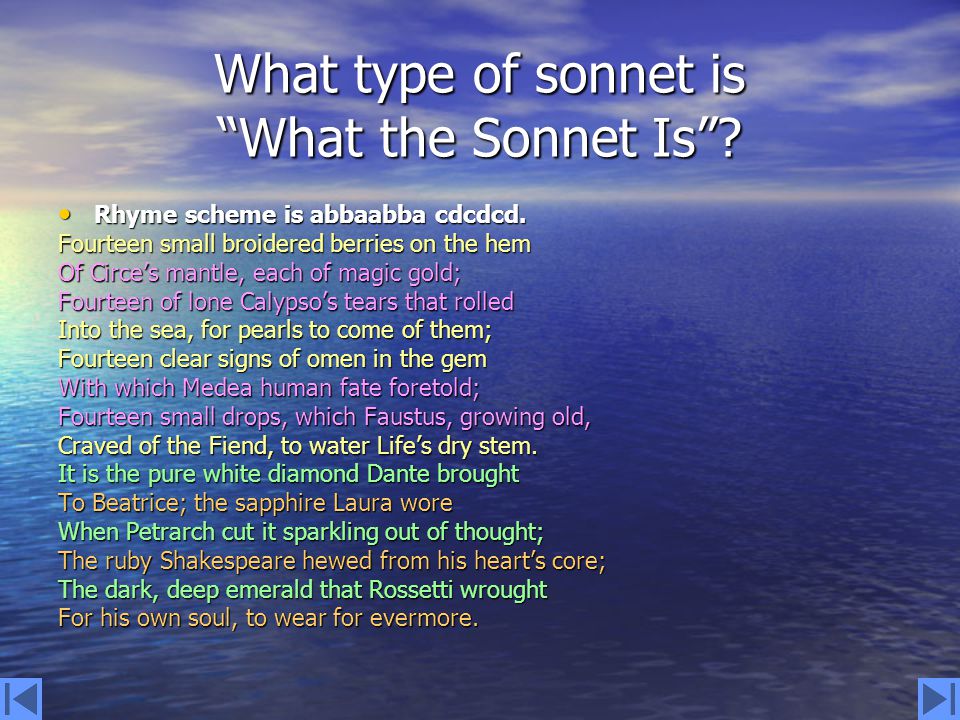 What type of sonnet is What the Sonnet Is .