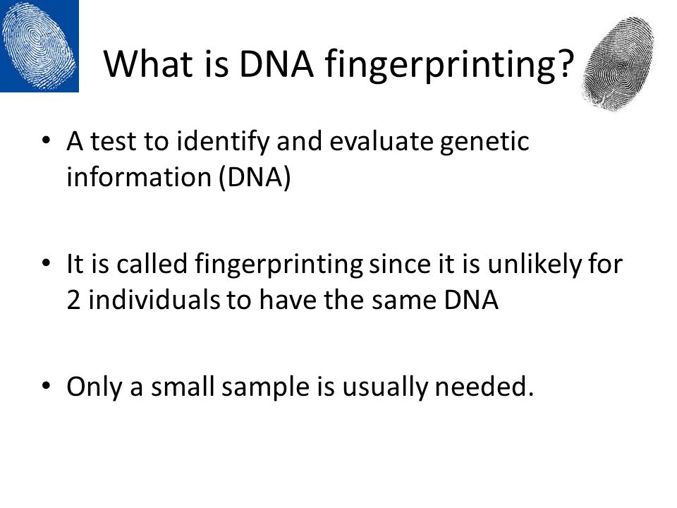 What is DNA fingerprinting.