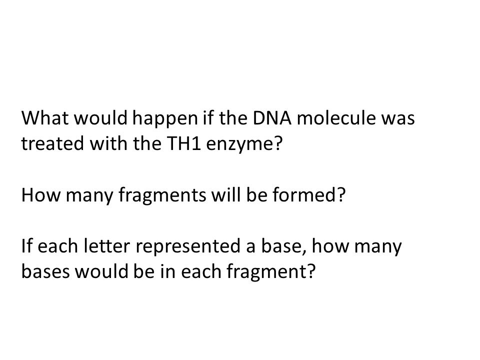 What would happen if the DNA molecule was treated with the TH1 enzyme.