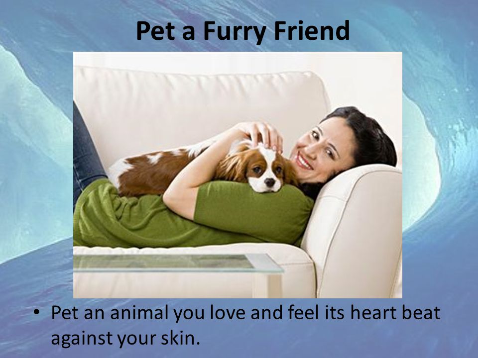 Pet a Furry Friend Pet an animal you love and feel its heart beat against your skin.