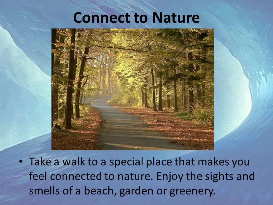 Connect to Nature Take a walk to a special place that makes you feel connected to nature.