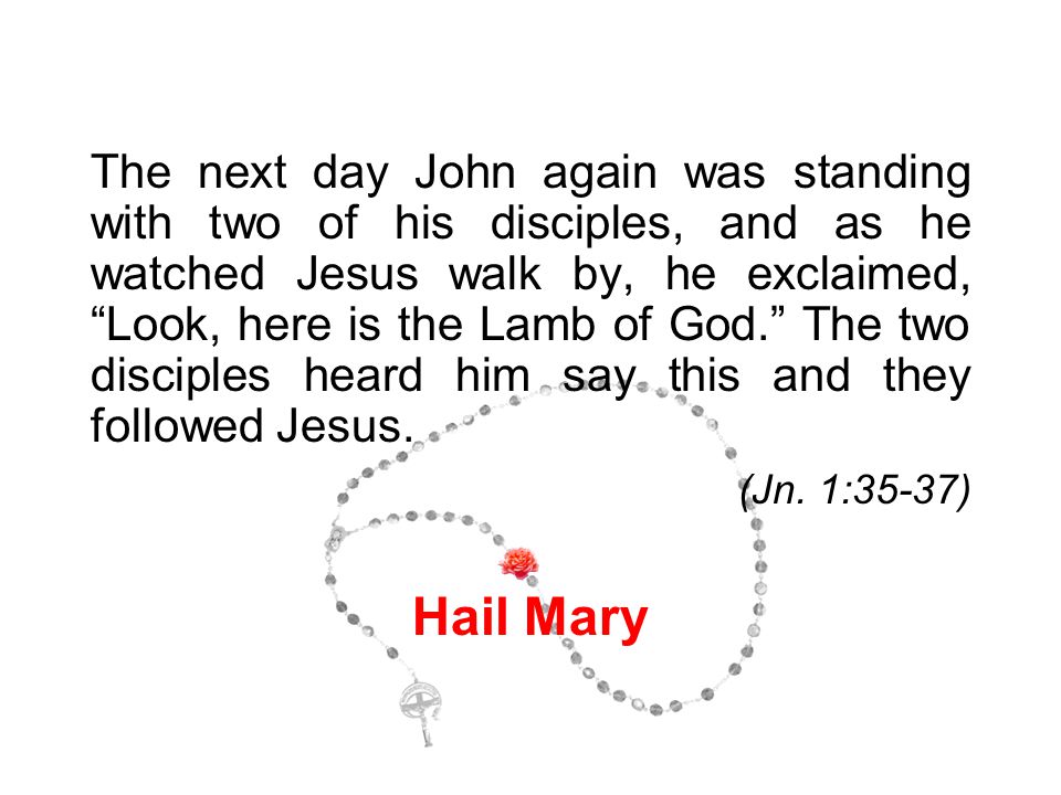 The next day John again was standing with two of his disciples, and as he watched Jesus walk by, he exclaimed, Look, here is the Lamb of God. The two disciples heard him say this and they followed Jesus.