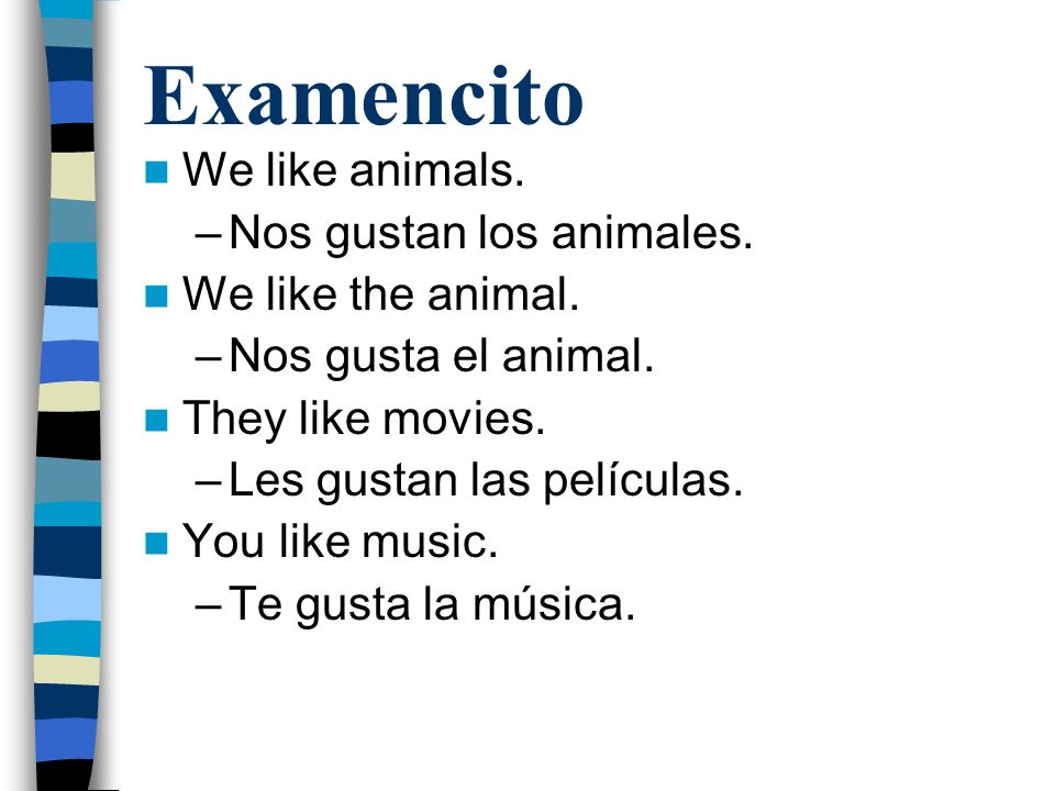 Examencito We like animals. –Nos gustan los animales.