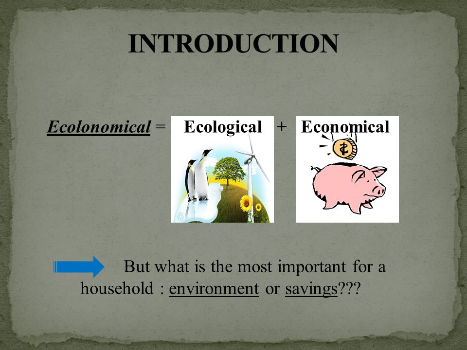 Ecolonomical = Ecological + Economical But what is the most important for a household : environment or savings