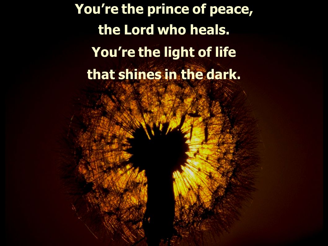 Youre the prince of peace, the Lord who heals. Youre the light of life that shines in the dark.