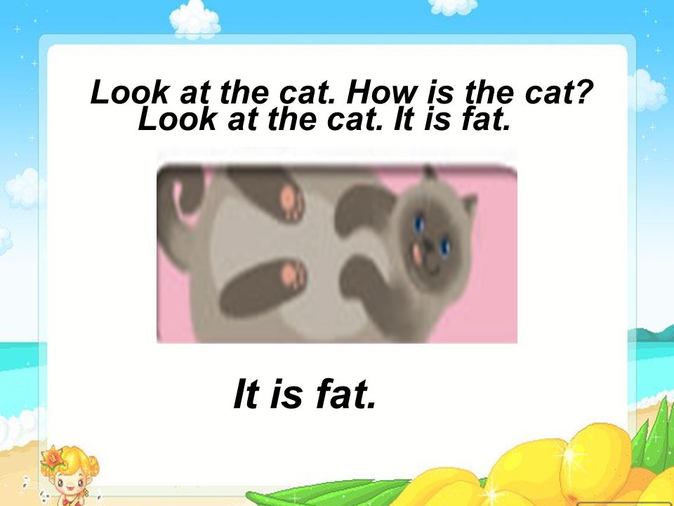 Whats this Its a cat.