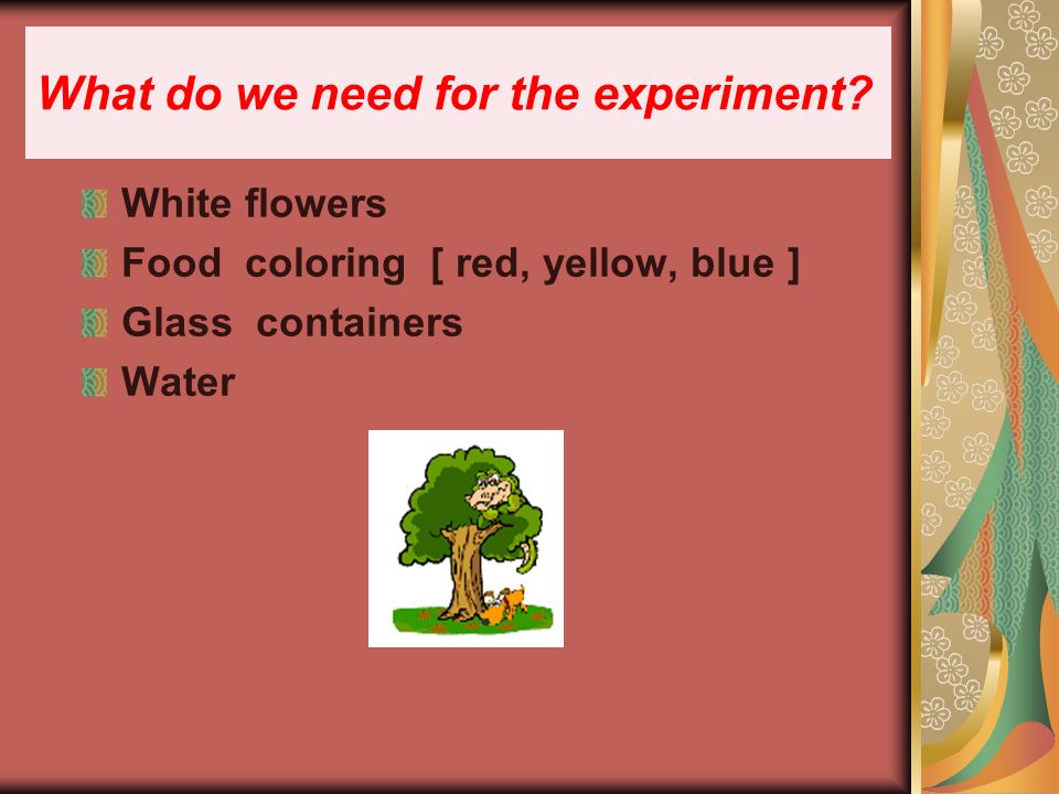 What do we need for the experiment.